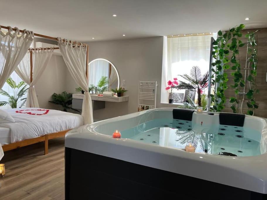 Jungle Secret Spa Nuit Insolite Giromagny Buitenkant foto